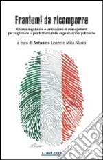 Frantumi da ricomporre. Riforme legislative e innovazioni di management per migliorare la produttività delle organizzazioni pubbliche libro