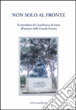 Non solo al fronte. Il contributo di Castelfranco di Sotto all'epopea della grande guerra