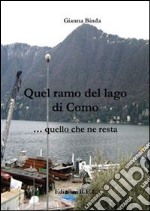 Quel ramo del lago di Como... quello che ne resta libro