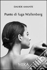 Punto di fuga Wallenberg