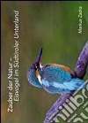 Zauber der Natur. Eisvogel im Südtiroler Unterland. Ediz. multilingue libro