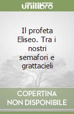 Il profeta Eliseo. Tra i nostri semafori e grattacieli libro