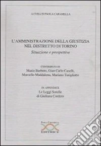 L'amministrazione della giustizia nel distretto di Torino. Situazioni e prospettive libro