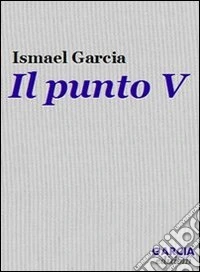 Il punto V libro