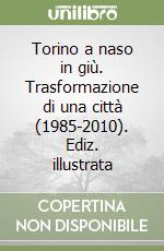 Torino a naso in giù. Trasformazione di una città (1985-2010). Ediz. illustrata libro