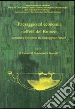 Paesaggio ed economia nell'età del bronzo. La pianura bolognese tra Samoggia e Panaro