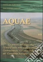 Aquae. La gestione dell'acqua oltre l'unità d'Italia nella pianura emiliana. Celebrazione del 525° anno dello scavo del «Cavamento-Foscaglia» 1487-2012 libro