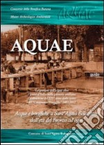 Aquae. La gestione dell'acqua oltre l'unità d'Italia nella pianura emiliana libro