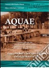 Aquae. La gestione dell'acqua oltre l'unità d'Italia nella pianura emiliana libro