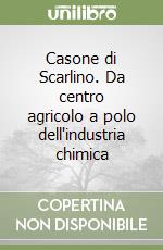 Casone di Scarlino. Da centro agricolo a polo dell'industria chimica libro