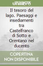 Il tesoro del lago. Paesaggi e insediamenti tra Castelfranco di Sotto e Orentano nel ducento libro