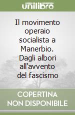 Il movimento operaio socialista a Manerbio. Dagli albori all'avvento del fascismo libro