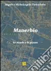 Manerbio. Le strade e le piazze libro di Tiefenthaler Angelo Tiefenthaler Michelangelo