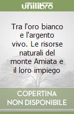 Tra l'oro bianco e l'argento vivo. Le risorse naturali del monte Amiata e il loro impiego