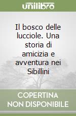 Il bosco delle lucciole. Una storia di amicizia e avventura nei Sibillini libro