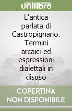 L'antica parlata di Castropignano. Termini arcaici ed espressioni dialettali in disuso libro