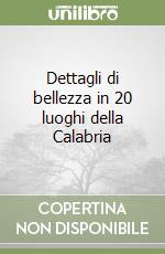 Dettagli di bellezza in 20 luoghi della Calabria libro