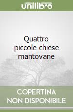 Quattro piccole chiese mantovane libro