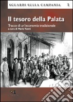 Il tesoro della Palata. Tracce di un'economia tradizionale