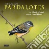 Australian birds, Pardalotes. Taxonomic and natural history libro di Perini Maurizio