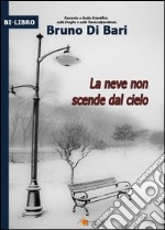 La neve non scende dal cielo libro