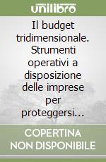 Il budget tridimensionale. Strumenti operativi a disposizione delle imprese per proteggersi dall'incremento dello spread e dei conseguenti costi. Con software