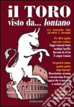 Il toro visto da... lontano. Un viaggio tra tempo e spazio