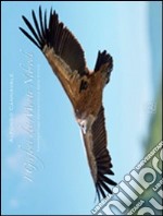 I grifoni dei monti Nebrodi. Fotoreportage naturalistico dalla Sicilia. Ediz. italiana e inglese