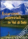 Escursioni essenziali in Val di Sole. Guida alle escursioni essenziali in Val di Sole e dintorni libro