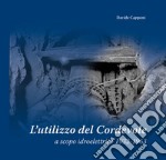 L'utilizzo del Cordevole a scopo idroelettrico 1932-1963