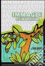 Immagini evangeliche libro