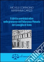 Il diritto amministrativo nelle pronunce dell'Adunanza Plenaria del Condiglio di Stato libro