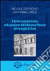 Il diritto amministrativo nelle pronunce dell'Adunanza Plenaria del Condiglio di Stato libro