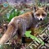 Mammiferi. Fauna di Puglia. Repertorio fotografico. DVD-ROM libro