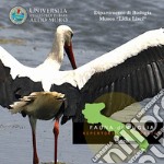 Uccelli. Fauna di Puglia. Repertorio fotografico. DVD-ROM libro