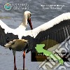 Uccelli. Fauna di Puglia. Repertorio fotografico. DVD-ROM libro