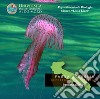 Invertebrati marini. Fauna di Puglia. Repertorio fotografico. DVD-ROM libro