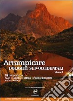 Arrampicate Dolomiti sud-occidentali. Vol. 1: 82 vie di roccia Pale, Lagorai, Brenta, piccole Dolomiti Arco e Prealpi libro