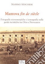 Mantova fin de siècle libro usato