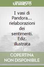 I vasi di Pandora... rielaborazioni dei sentimenti. Ediz. illustrata libro