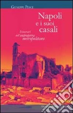 Napoli e i suoi casali libro