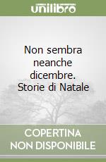 Non sembra neanche dicembre. Storie di Natale libro