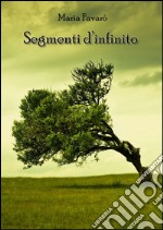 Segmenti d'infinito