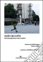 Alte Ceccato. Una banglatown nel nordest