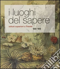I luoghi del sapere. Istituti superiori a Trieste. '800 '900 libro