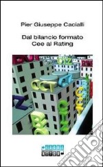 Dal bilancio formato CEE al rating