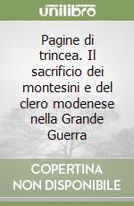 Pagine di trincea. Il sacrificio dei montesini e del clero modenese nella Grande Guerra libro