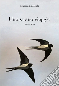 Uno strano viaggio libro