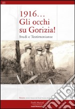 1916... Gli occhi su Gorizia! Studi e testimonianze