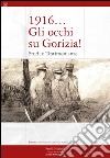 1916... Gli occhi su Gorizia! Studi e testimonianze libro